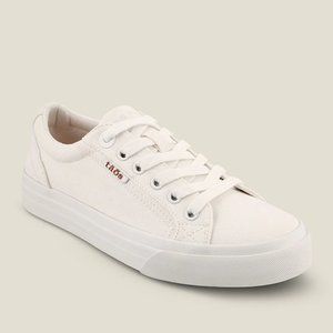TAOS FOOTWEAR Plim Soul White Women Canvas Sneaker